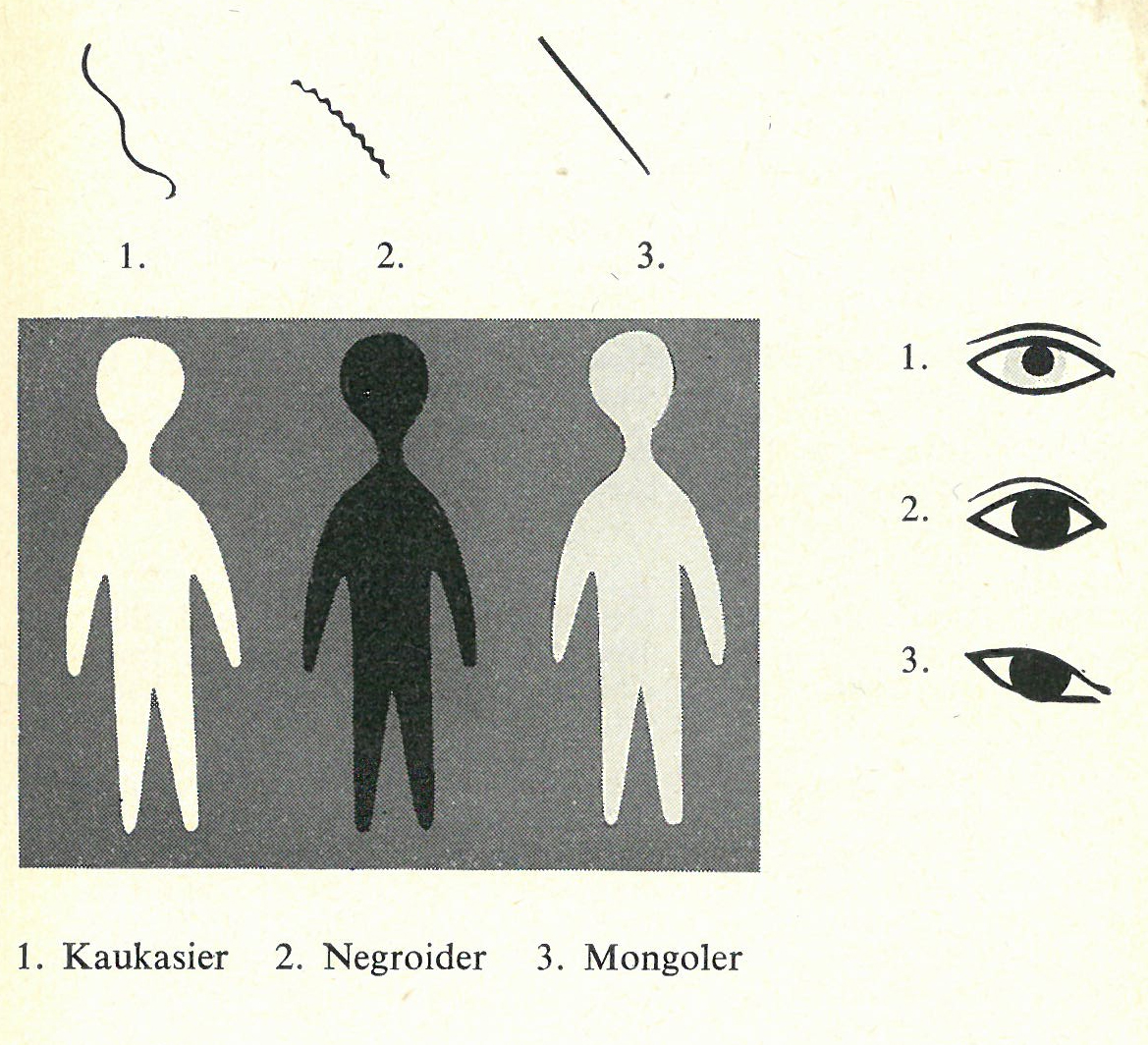 Figure2: From Gunnar Dahlberg, Raser och folk (‘Races and Peoples), 1955.