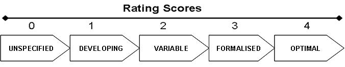 Figure1: General benchmarking scoring system for information management service maturity