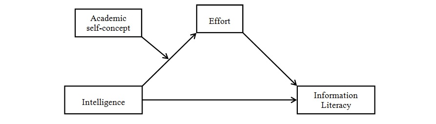 Figure 1: Conceptual diagram of the moderated mediation effect of Hypothesis 2