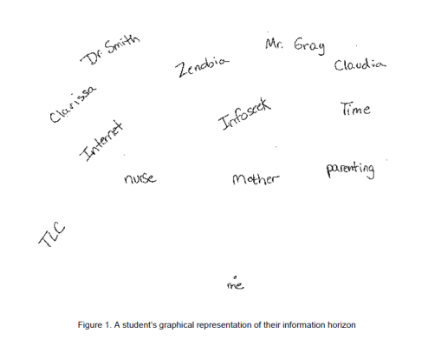 Figure1: Two examples of the outcome of the information horizon interview 