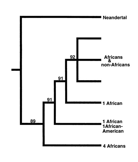 Figure3: Svante Pääbo used this figure in his Neandertalmänniskan: på spaning efter försvunna gener (‘Neanderthal Man: In search of lost genomes’), 2014.