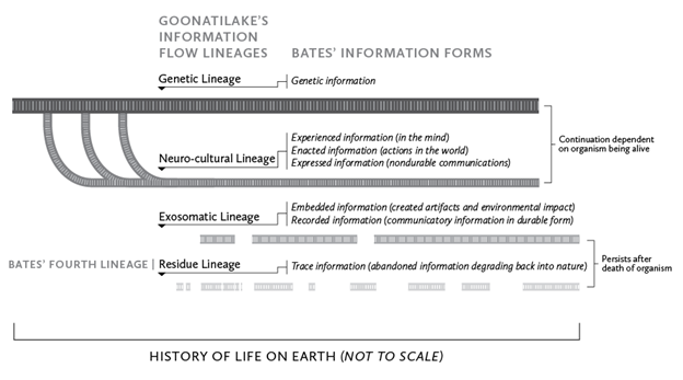 Information flow lineages